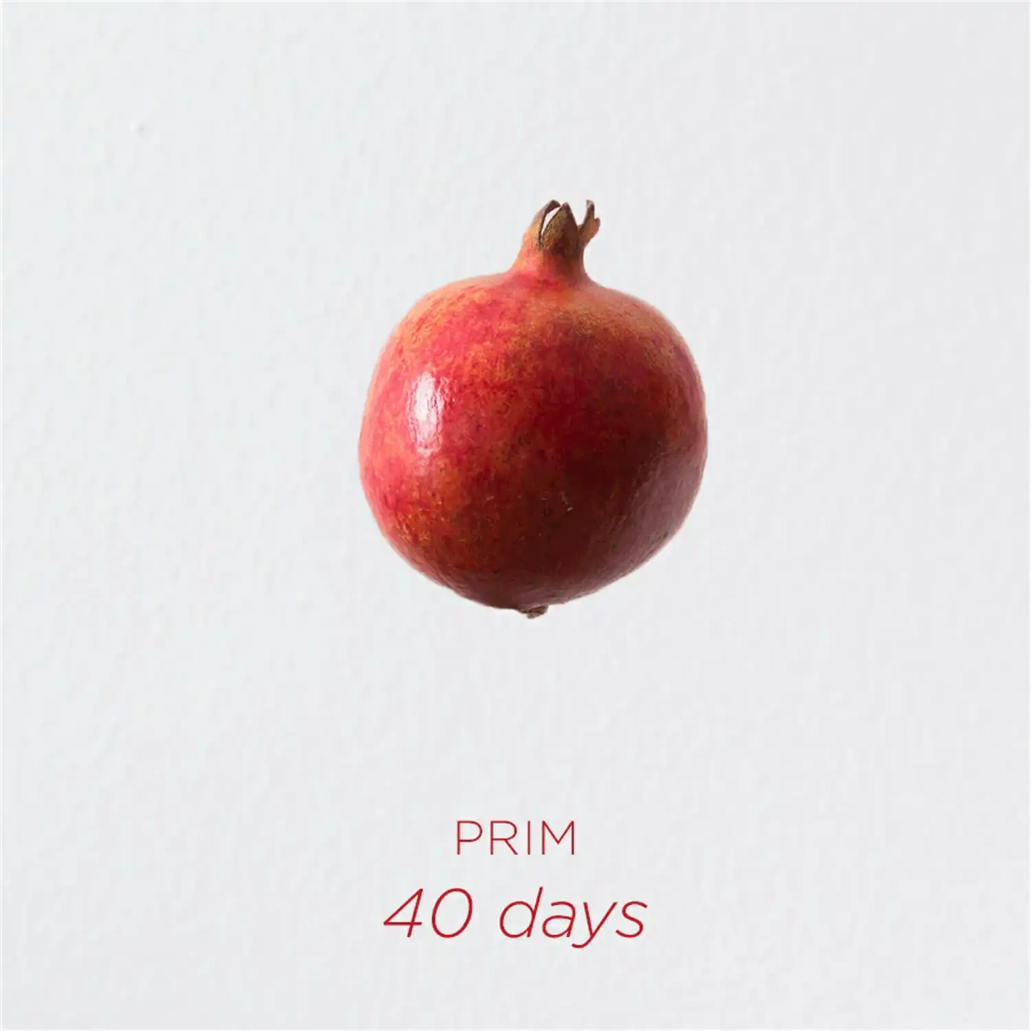 40 Days